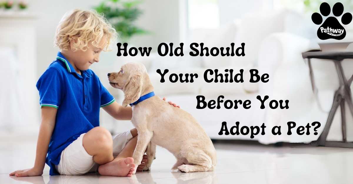 How Old Should Your Child Be Before You Adopt a Pet?
